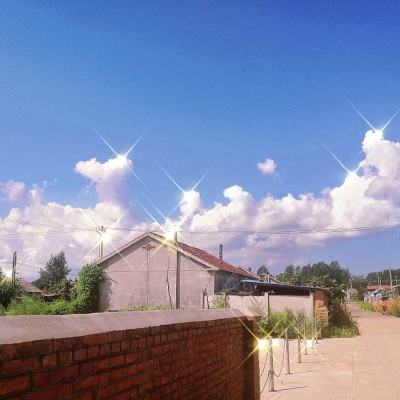 盘鲲诀手游下载